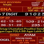 Prediksi Virdsam China 30 Januari 2021 prediksi-virdsam-china-30-januari-2021-alexistogel
